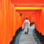 Fushimi Inari-taisha, Arashiyama, Kiyomizu-dera day tour from Osaka