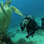 Taitung Green Island: Fun Under the Sea SDI Open Water Scuba Diver Course