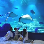 Farglory Oceanpark Sleepover Experience in Hualien