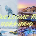 Otaru, Shiroi Koibito Park, & Snow Park Day Tour from Sapporo