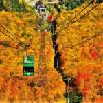 Hokkaido Kurodake Ropeway, Asahiyama Zoo Autumn Bus Tour