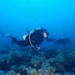 New Taipei: Experience diving with Diving Diving Club