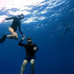 New Taipei｜Gongliao Dragon Cave Fighting Diving｜OW・AOW Exam・Freediving Exam・Diving Experience