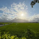 Chishang Brown Boulevard Biking Experience in Taitung