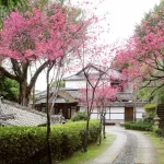 Beitou Museum Ticket in Taipei