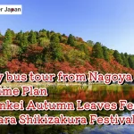 1-Day Korankei Autumn Leaves Tour from Nagoya Daytime Plan