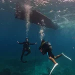 Beginner Scuba Diving with PADI in Ishigaki, Japan