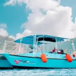 Waikiki Turtle Canyon Snorkeling Tour