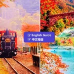 Autumn Leaves Season | Kyoto Arashiyama & Sagano Train (Optional Experience) & Sanzen-in Temple Day Tour | Depart from Osaka/Kyoto