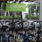 Electric-Assisted Bike Rental in Okinawa