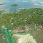 Eco Helicopter Tour in Key West