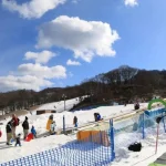 Karuizawa Skiing and Snowing Day Tour (Ski equipment and clothing rental and skiing instruction options available, departing from Tokyo)