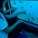 Glass Bottom Boat Tour in Okinawa