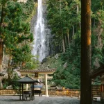 Kumano Kodo: World Heritage Highlights 2-day Tour (From Nagoya)