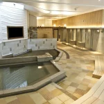 Natural Hot Spring Heiwajima Ticket in Tokyo