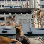 Los Angeles Luxury Cruise Experience with Wine, Cheese & Sea Lions