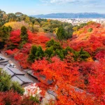 Autumn Leaves Season｜One-Day Tour of Kyoto Tofukuji Temple, Fushimi Inari Shrine, and Kifune Shrine｜Small Group for 4-13 People