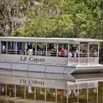 New Orleans Swamp and Bayou Sightseeing Boat Tour