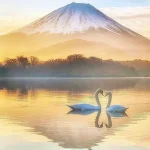 Mt. Fuji Twin Lakes Cruise and Scenic Spots Day Tour from Tokyo