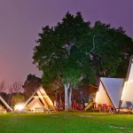 Miaoli: Bell Tent Glamping Experience in Whispering Tree Campground