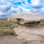 Petrified National Park Self-Guided Driving Audio Tour