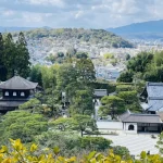 Bamboo Artistry & Zen Serenity Tranquility with Ginkaku-ji in Kyoto