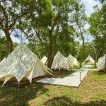 Taichung Camping｜Take the high-end lazy camping area