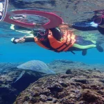 Liuqiu Snorkeling Tour by Bear Diving in Pingtung