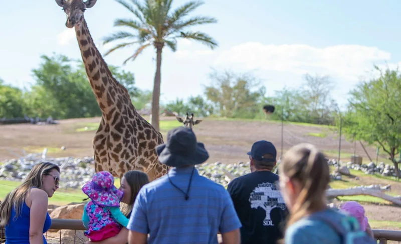 Phoenix Zoo Ticket in Phoenix