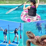 Miyakojima Sea Turtle Snorkeling & Beach SUP or Canoeing Full Day/Half Day Experience (Okinawa)