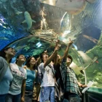 Aquarium of Guam Ticket