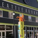 The Seattle Aquarium Entry Ticket