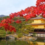 Fushimi Inari Taisha, Kinkaku-ji, & Nara Park Tour form Osaka/Kyoto