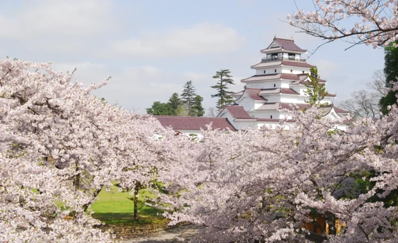 Tsurugajo Castle（Aizu-Wakamatsu Castle） Admission Ticket in Aizuwakamatsu