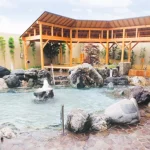 Korona no Yu Ogaki Natural Hot Spring Experience in Gifu