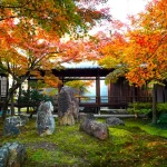 Kyoto Highlights Private Day Tour