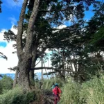 Nanheng Three-Star Mountaineering Tour: Taguan Mountain & Guanshanling Mountain & Kuhanosing Mountain (Departure from Taipei)