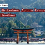 1-Day Itsukushima Autumn Leaves Tour from Hiroshima