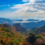 Shodoshima Island Tour Bus (Kagawa)