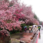 Taichung Wuling Farm Day Tour from Taipei