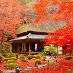 Autumn Leaves Season | Hieisan Enryakuji Temple & Kyorinbo & Hachiman Cruise Day Tour for Fall Leaves Viewing | (Departing from Osaka/Kyoto)