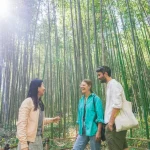 Kyoto Arashiyama Bamboo Forest & Garden Half Day Walking Tour