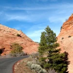 Zion National Park Day Tour from Las Vegas