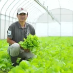 Formosa Yangmei Organic Ecology Farm Guided Tour and DIY Experience in Taoyuan