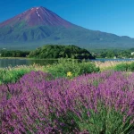 Mt. Fuji and Lake Kawaguchi Owakudani Day Tour (with delicious Sukiyaki lunch from Tokyo)