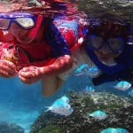 Premium Snorkeling Experience in Guam