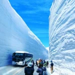 Tateyama-Kurobe Alpine Route Day Tour from Nagano