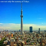 Tokyo City, Private and Customized Walking Day Tour