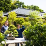 3-DAY Private Tour ”Tree House Bonsai” Bonsai Workshop