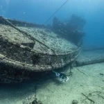 Wreck and Reef Tour in Oahu